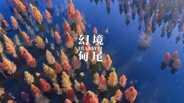 win10系统配置在哪里看——探讨与分享的红迪网社区