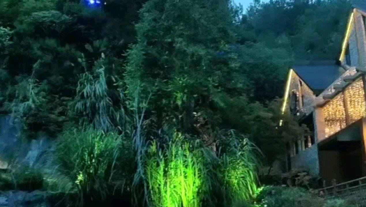 雷竞技比分